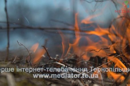 У Великій Березовиці неподалік будинків горить очерет  (Відео)