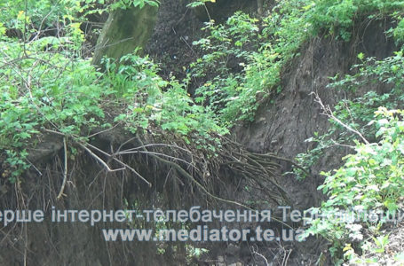 Нечистоти з котловану на Миру вимили яри й замулили Серет (Відео)