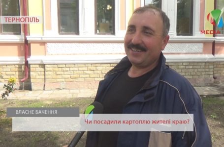 «Свята та негода завадили посадити вчасно», – тернополяни про картоплю (Відео)