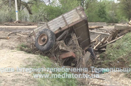 Картопля в намулі та мертва птиця. Жителям підтоплених районів шукають кошти на компенсацію (Фото)