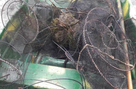 На Тернопільщині браконьєри виловили риби на півмільйона