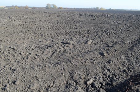 На Теребовлянщині сільгосппідприємство самовільно зайняло 57 га землі