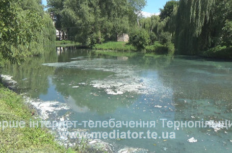 У тернопільському гідропарку «Топільче» очистять всі водойми