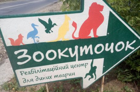 Тернополянка просить врятувати тварин у Хмельницькому