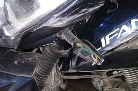 На Тернопільщині у ДТП загинув гравець відомого футбольного клубу