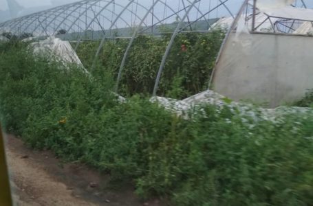 Зірвані дахи та понищені теплиці: на Тернопільщині вирувала гроза (Відео)