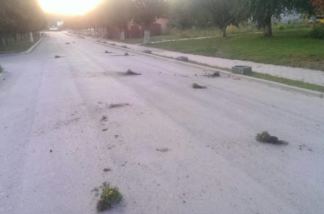 У Чорткові вандали “по-своєму” відзначили День Незалежності (Фото)