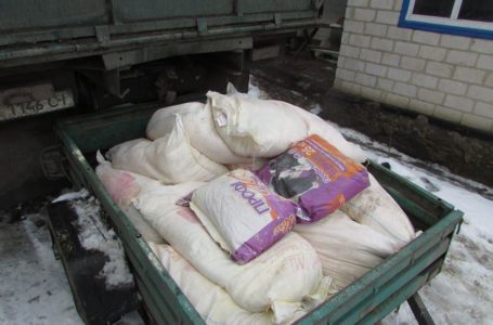 У Бучачі на крадіжці молока спіймали працівника ферми
