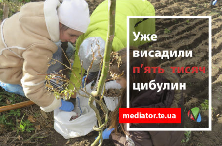 У Збаражі буде власна долина нарцисів