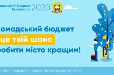 Громадський бюджет Тернополя: три проекти відхилили