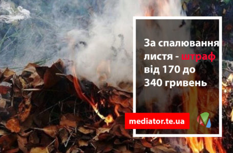За тернополянами, які спалюють листя, стежитиме квадрокоптер