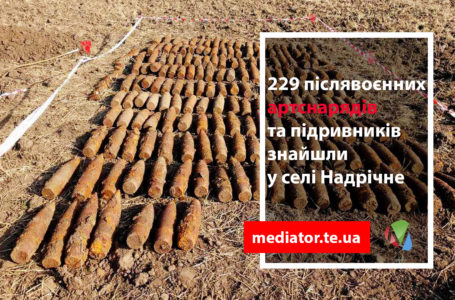 Боєприпаси часів Другої світової війни знайшли на Теребовлянщині