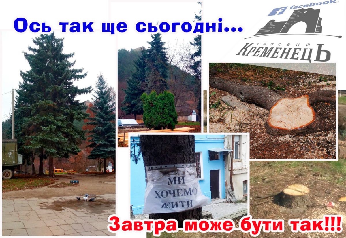 У Кременці протестують проти вирізки дерев