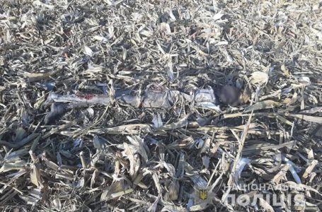 На Тернопільщині в кукурудзяному полі знайшли муміфіковане тіло людини