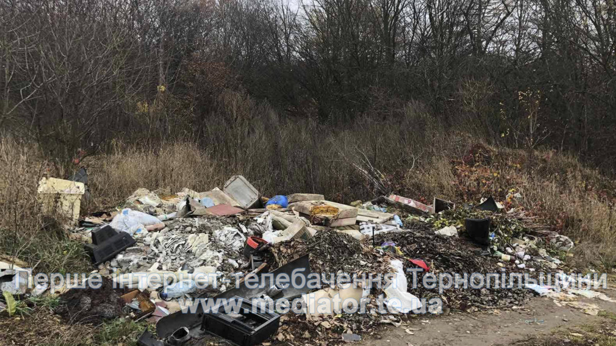 Вулиця в селі Петриків потопає у смітті (Фото)