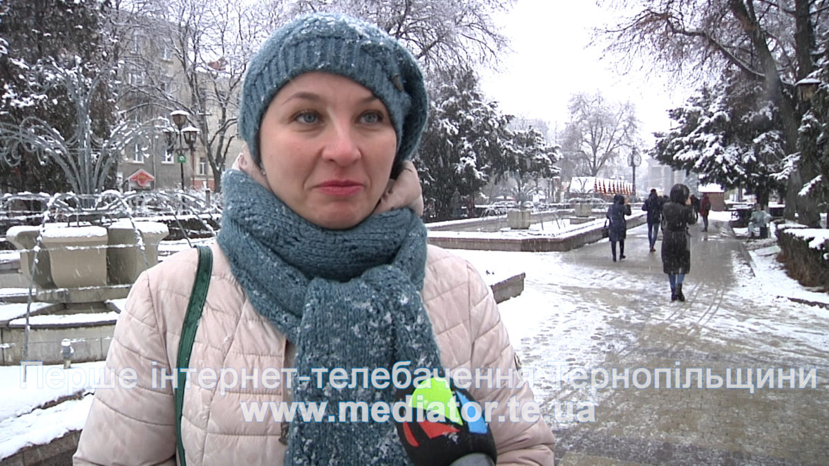«Чекаємо результату не через 4 місяці, а до Нового року», – тернополяни про «нормандську зустріч» (Відео)