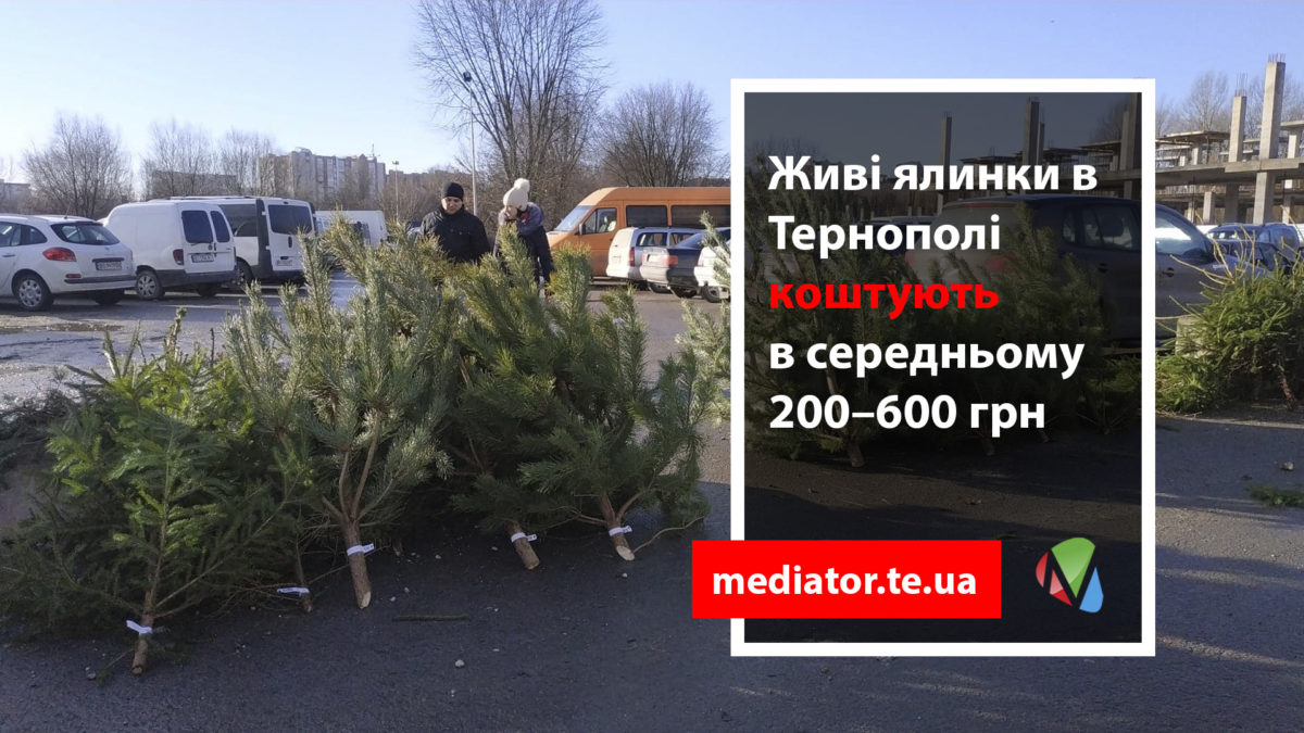 Новорічні ялинки в Тернополі: де і за скільки купити живу та штучну (Фото)
