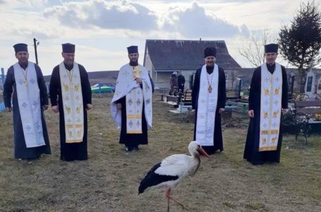 На Тернопільщині лелека прилетів на молитву за Героїв Небесної Сотні (Фото)