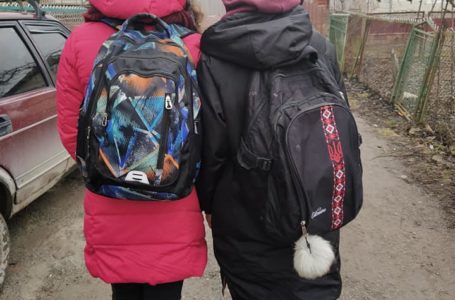 Водій, що висадив дівчаток з багатодітної сімʼї, може відповісти за дрібне хуліганство
