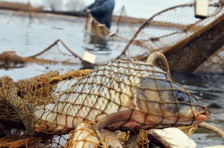 На Тернопільщині чоловік сітками виловлював червонокнижну рибу