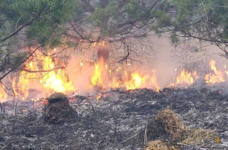 У Монастириському районі горіла суха трава на площі 4 гектари (Фото)