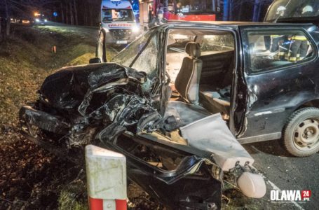 В автокатастрофі у Польщі загинув 20-річний житель Підгаєцького району (Фото)