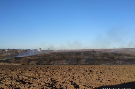 На Тернопільщині за добу гасили 25 пожеж сухої рослинності (Фото)