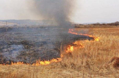 На Чортківщині, у пожежі трави, знайшли обгоріле тіло людини