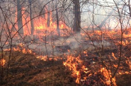 «Ви так нещадно випалюєте трави!»: рятувальники звернулись до жителів Тернопільщини (Відео)