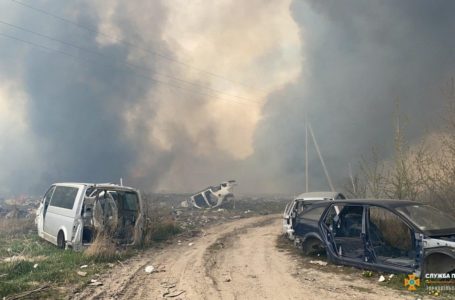 20 рятувальників та 15 місцевих жителів гасили очерет на Микулинецькій