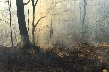 Верховна Рада збільшила штрафи за підпал трави у 18 разів