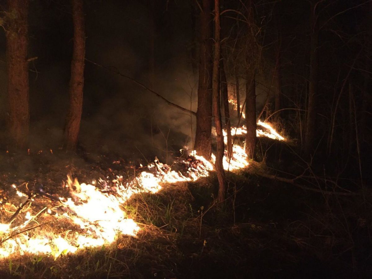 На Великдень під час пожежі на Монастирищині врятували ліс