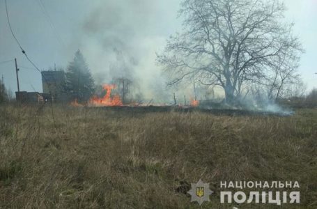 У Підгаєцькому районі поліцейські спіймали палія сухої трави (Відео)