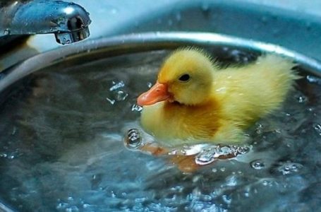У будинках тернополян вимикають гарячу воду. Графік зупинок котелень
