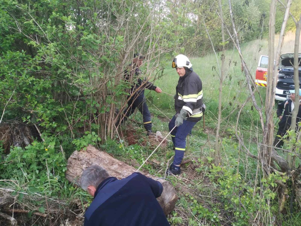 На Тернопільщині витягнули корову з колодязя (Фото)