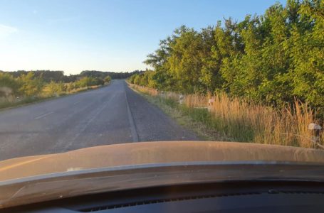 «На дороги Тернопільщини гроші виділяють, а їх не косять і не прибирають», – Петро Ландяк