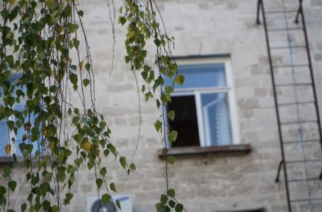 У Тернополі бабуся вчинила самогубство