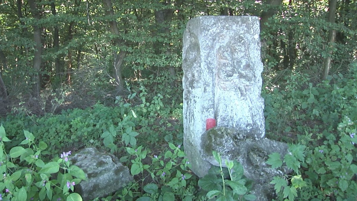 “Земля небіжчикам не потрібна”. На Тернопільщині скандал через холерний цвинтар (Відео)
