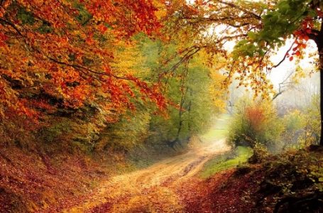 Чого очікувати 30 жовтня: гороскоп