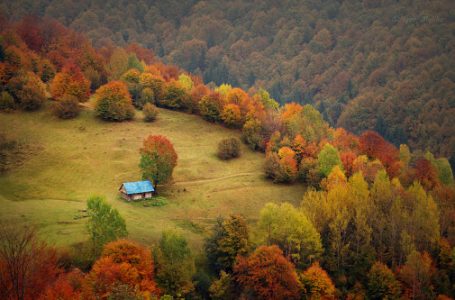 Гороскоп: чого чекати в п’ятницю, 13-го