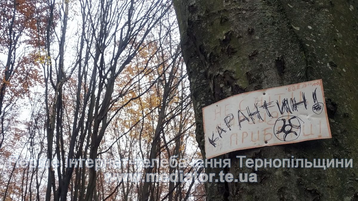 Уряд скасовує карантин вихідного дня. Що буде натомість